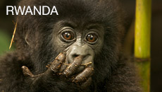Rwanda Rwanda