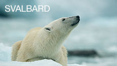 Svalbard Svalbard