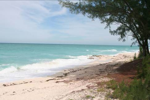 Bimini Bahamas Beach