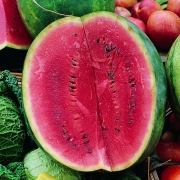 Geranium Crimson Sweet Watermelon