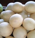 Cantaloupe