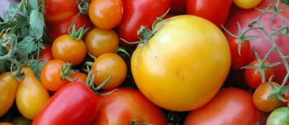 Tomatoes