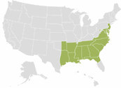 Region 4