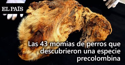 El País: Las 43 momias