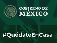 Gobierno de México - #QuédateEnCasa