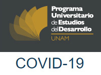 Programa Universitariio de Estudios del Desarrollo - Covid-19