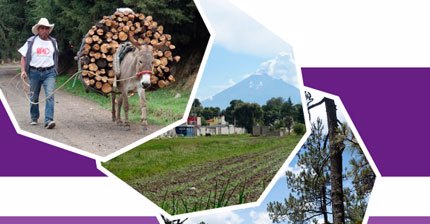 La sociedad rural y las cuestiones alimentarias de América Latina frente al COVID-19
