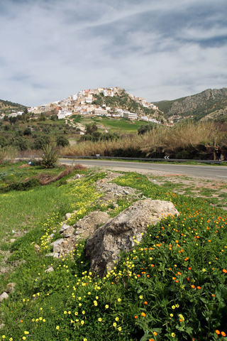 Moulay Idris Moulay Idris
