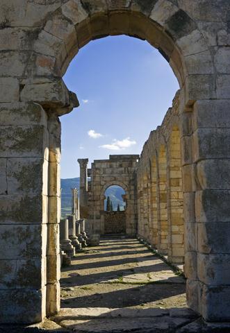 Volubilis Volubilis