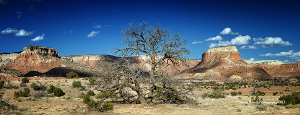 Ghost Ranch Panorama