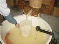 Just-completed sake coming out of the fune press