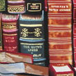 Click The Image for an Enlarged Book Cover View