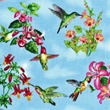 Click The Image for an Enlarged Book Cover View