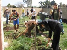 Grow Food Party pic