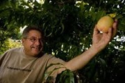 Picking fruit