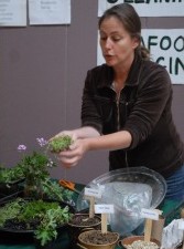 Expo Image