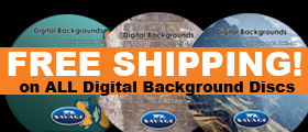 Free Shipping