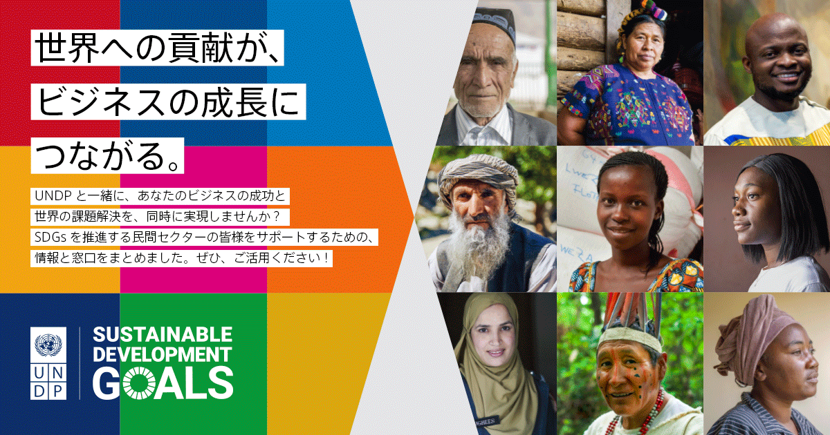 UNDP and Private Sector