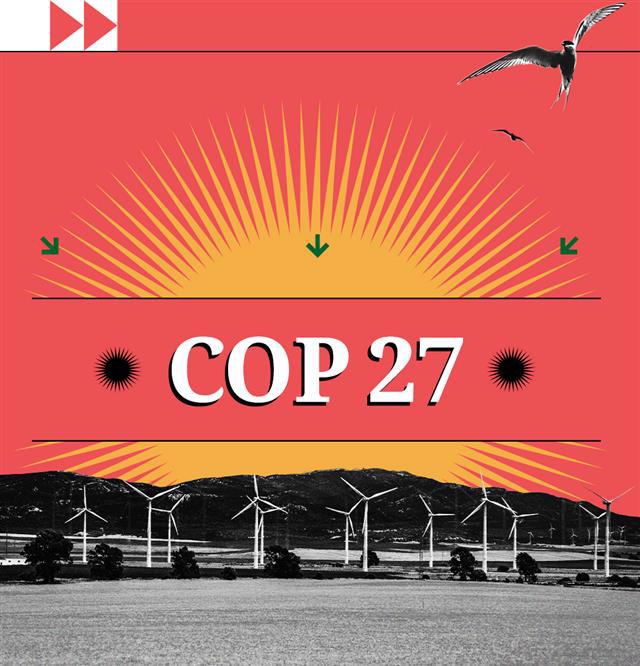 cop27