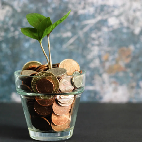 Venture Capital in the Supply Chain