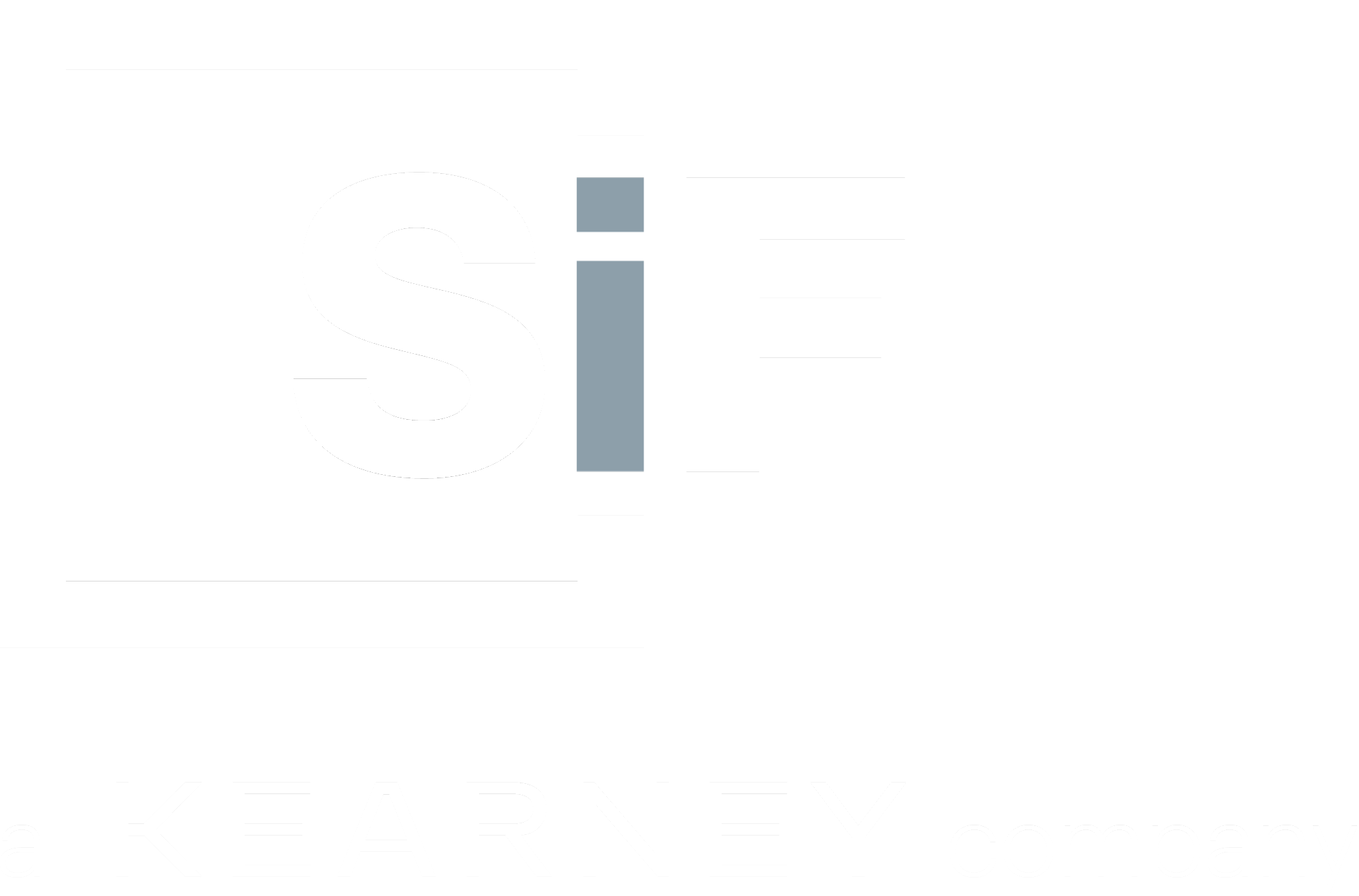 silicon foundry logo