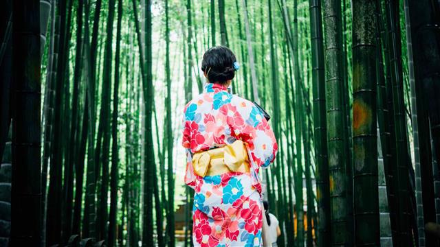 Programas formativos Japón