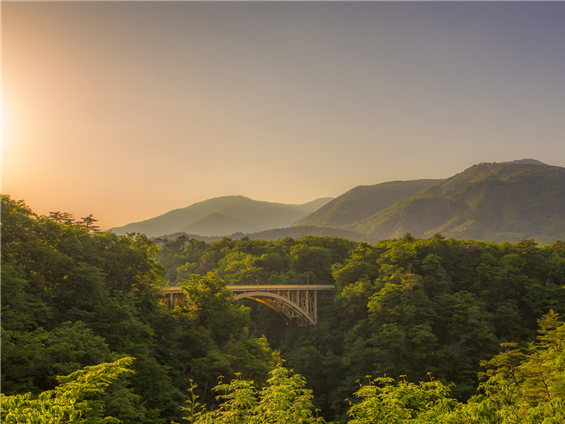 Conoce Tohoku