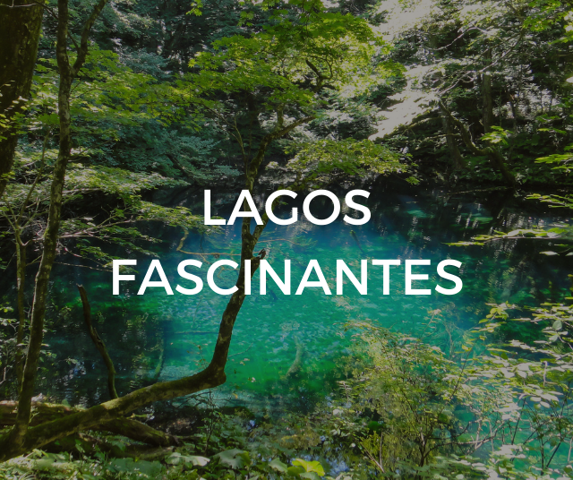 Lagos de Tohoku