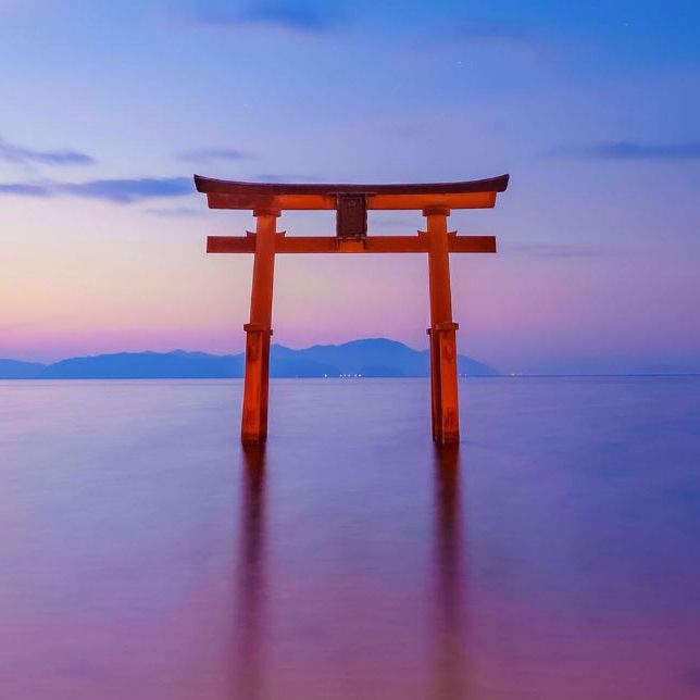 Japan Meetings and Events