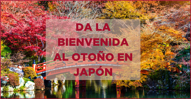 Da la bienvenida al otoño en Japón
