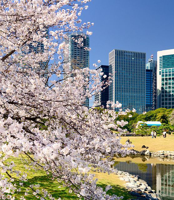 Eventos en Japón