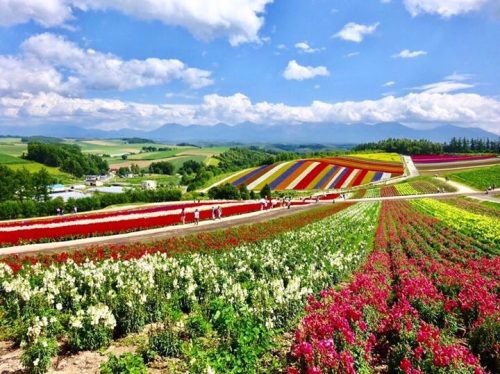 yokota@autocamp.or.jp