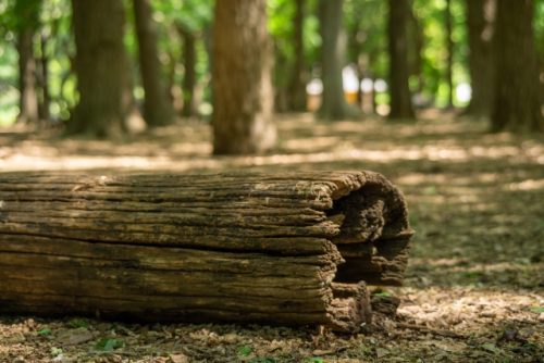 yokota@autocamp.or.jp