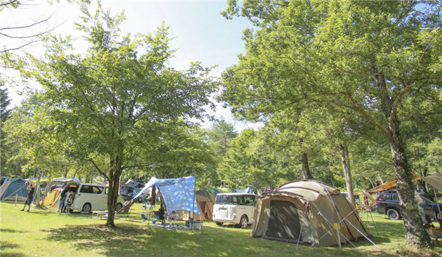 yokota@autocamp.or.jp