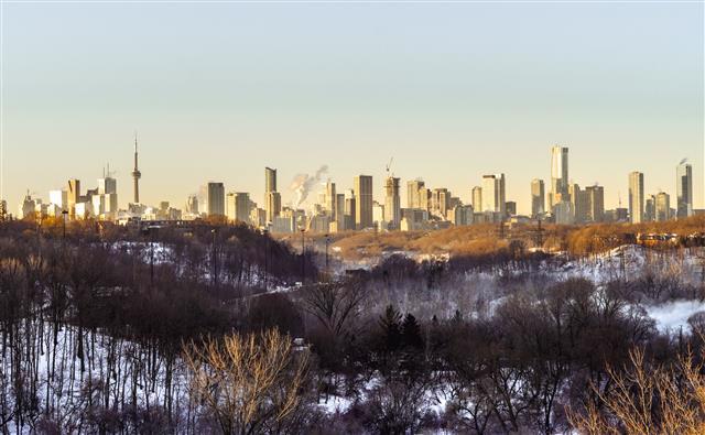 Photo by Ahnaf Piash: https://www.pexels.com/photo/city-skyline-view-from-the-forest-10928078/