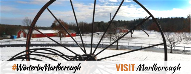Visit Marlborough