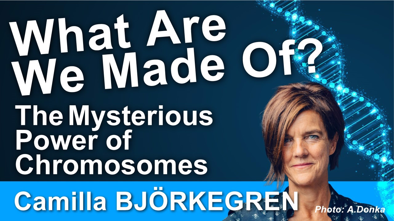 アンケートに回答