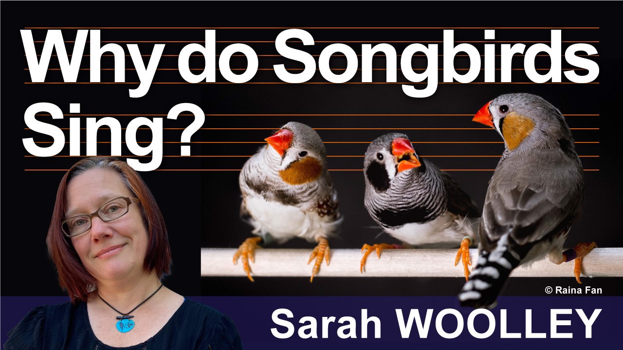 アンケートに回答