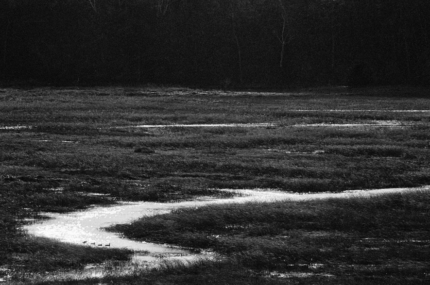 Ohio winter by Thomas Ondrey