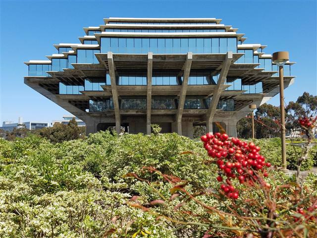 A picture of Geisel with greenery