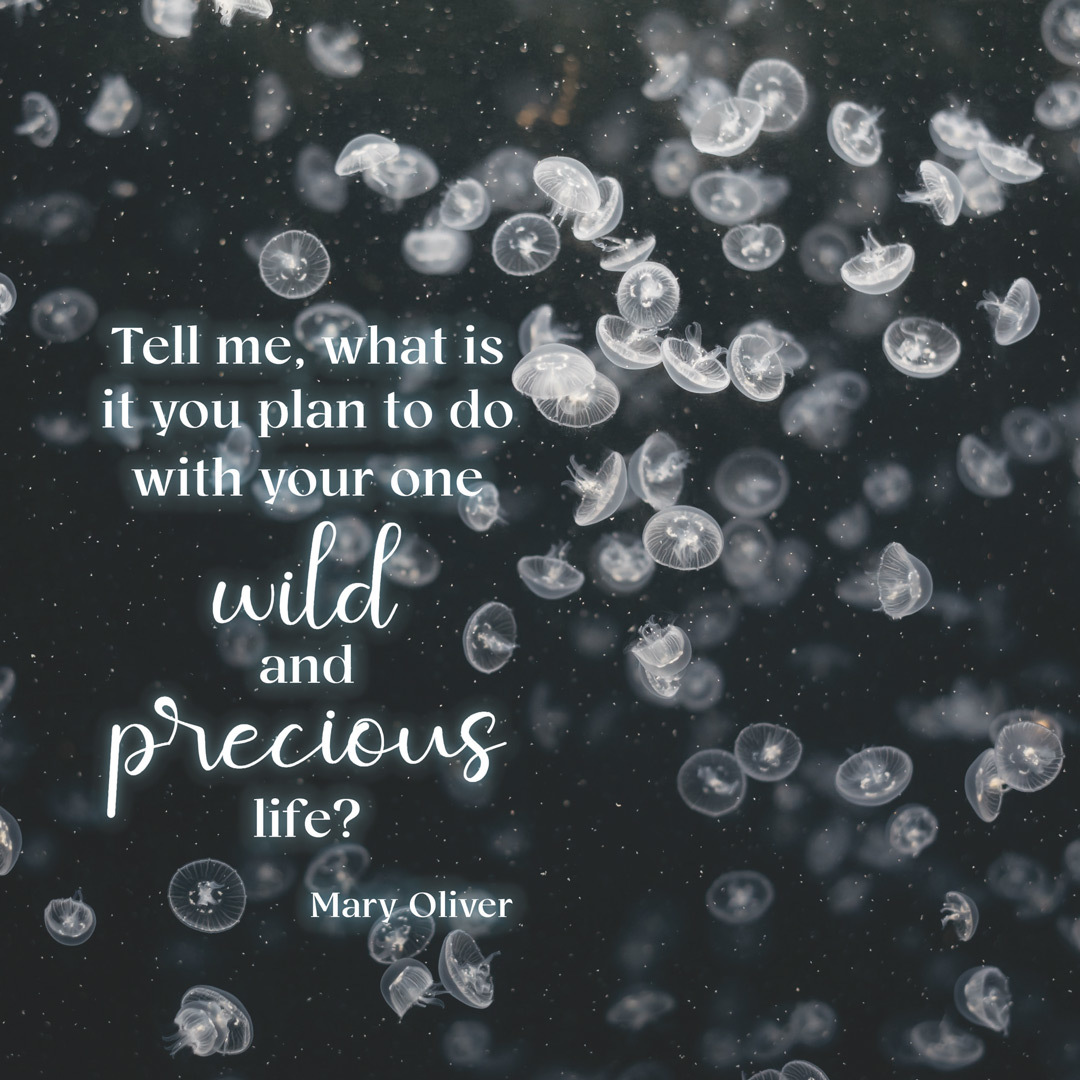 A graphic of jellyfish with a quote stating "Tell me, what is it you plan to do with your one wild and precious life?" by Mary Oliver.