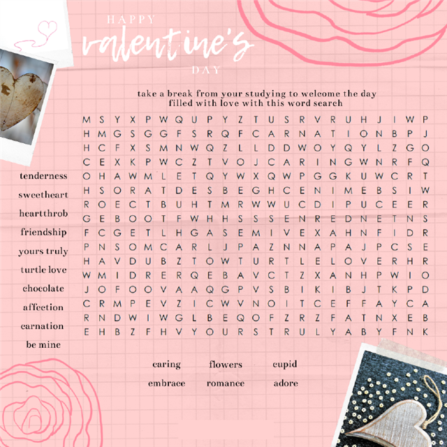 A Valentines Day themed word search puzzle.