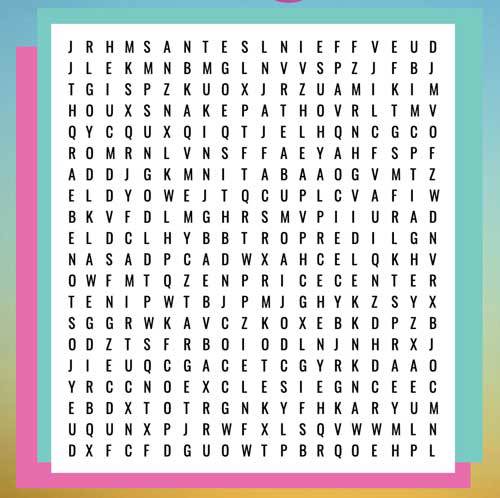 A Places at UCSD word search.