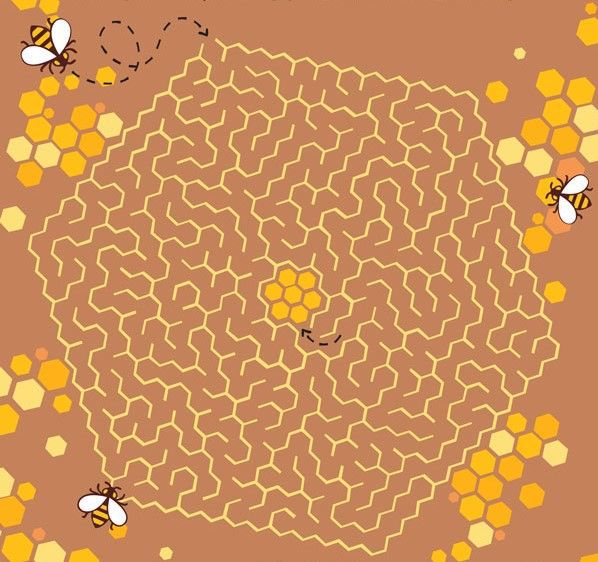 A bee themed maze.