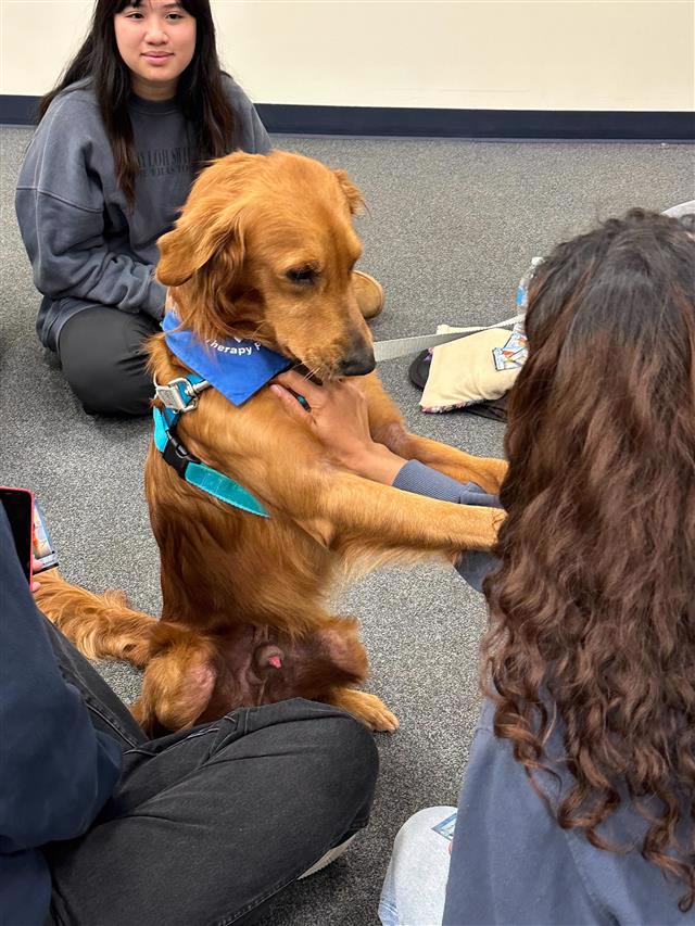 A photo of Tsuki the dog and students.