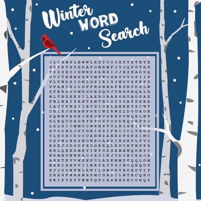 A winter word search puzzle.