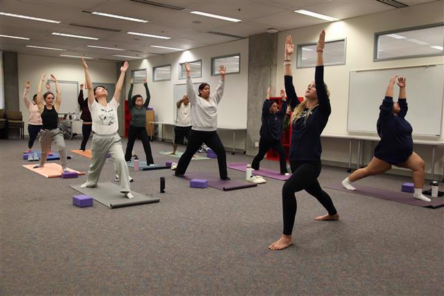 A photo of a yoga class.