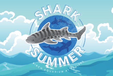 A graphic of a shark that says "Shark Summer."