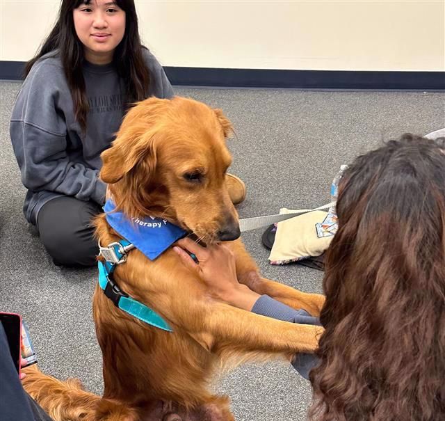 A photo of Tsuki the dog and students.