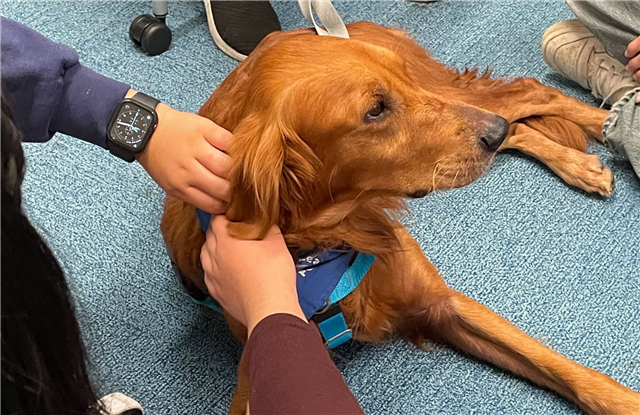 A graphic of a holiday lofi playlist.